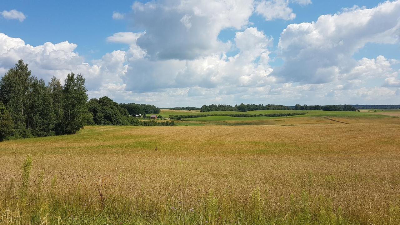 Grazinos Sodyba Telšiai 外观 照片